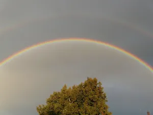 Rainbow over trees representing hope, faith, and healing after hard seasons.