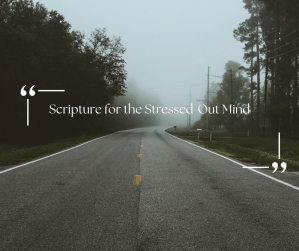Scripture for the Stressed-Out Mind