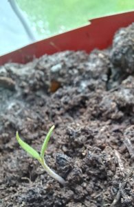 Small Signs of Life You Might Be Missing
