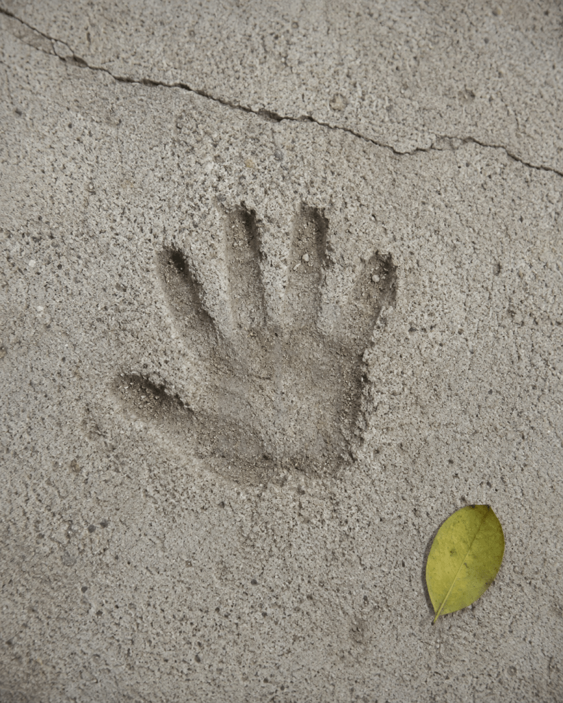 A child's small handprint pressed into old dried sidewalk cement, representing how childhood trauma sets early and lasts.