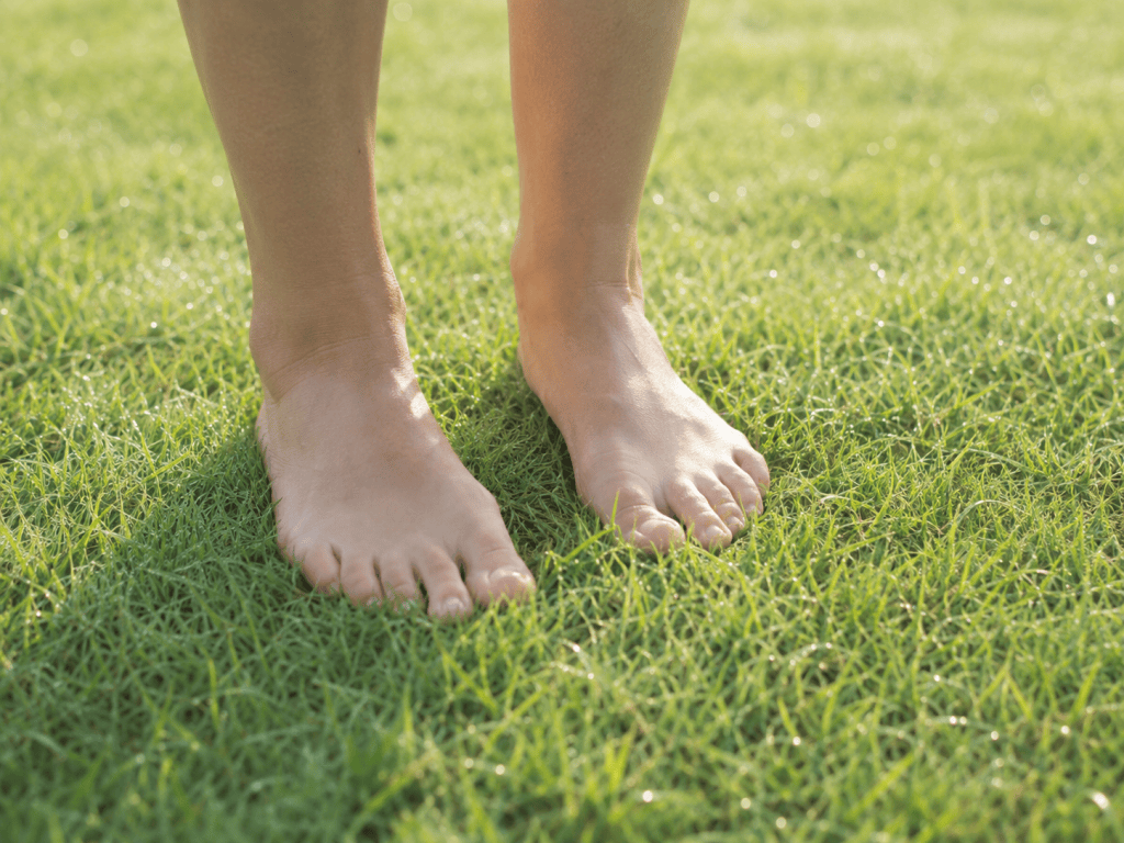 Bare feet standing in green grass in morning light, representing grounding and learning to feel safe in your body again.