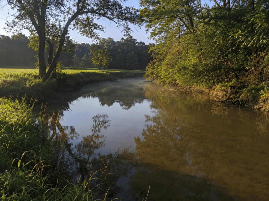 Lake scene