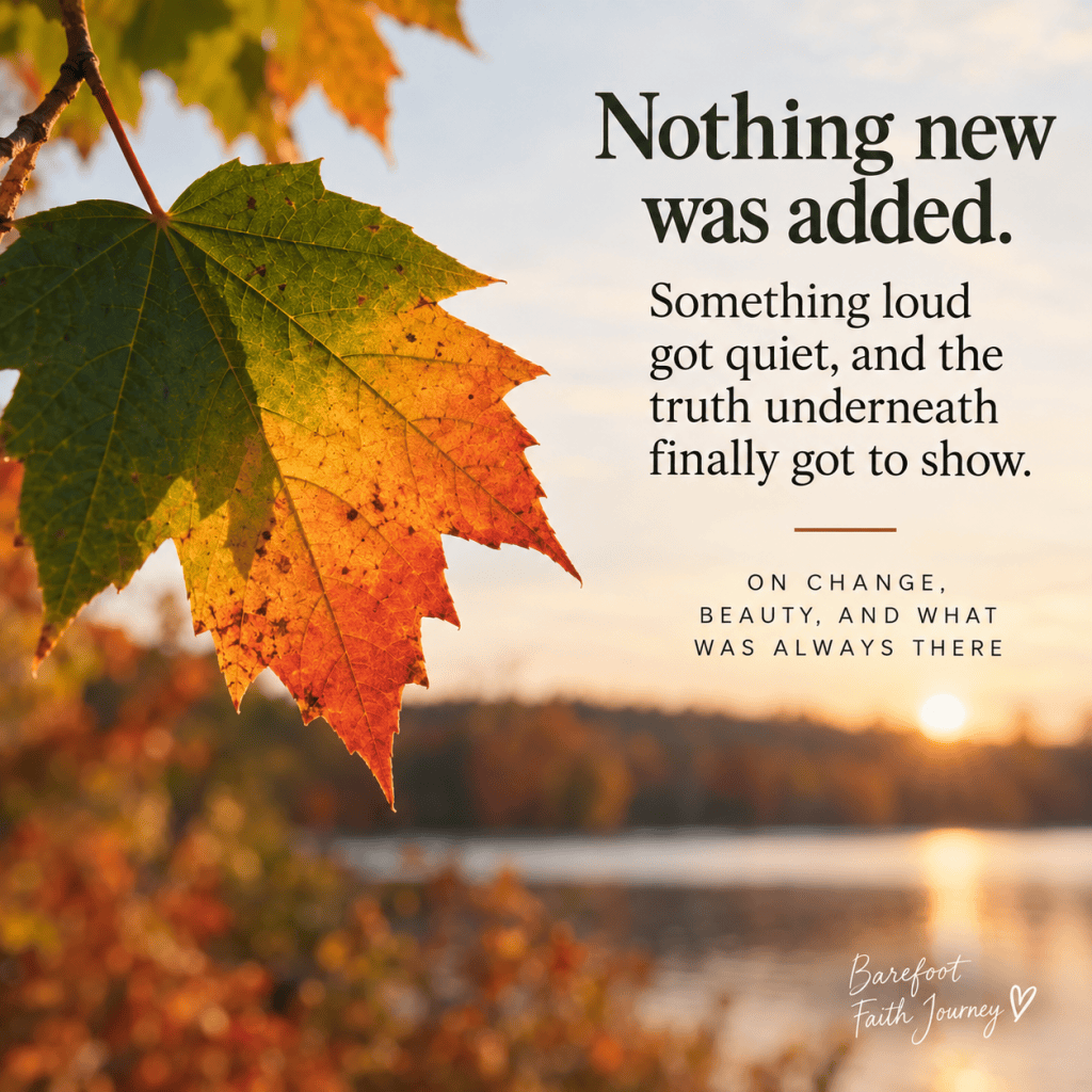 Fall leaves with blurb.
