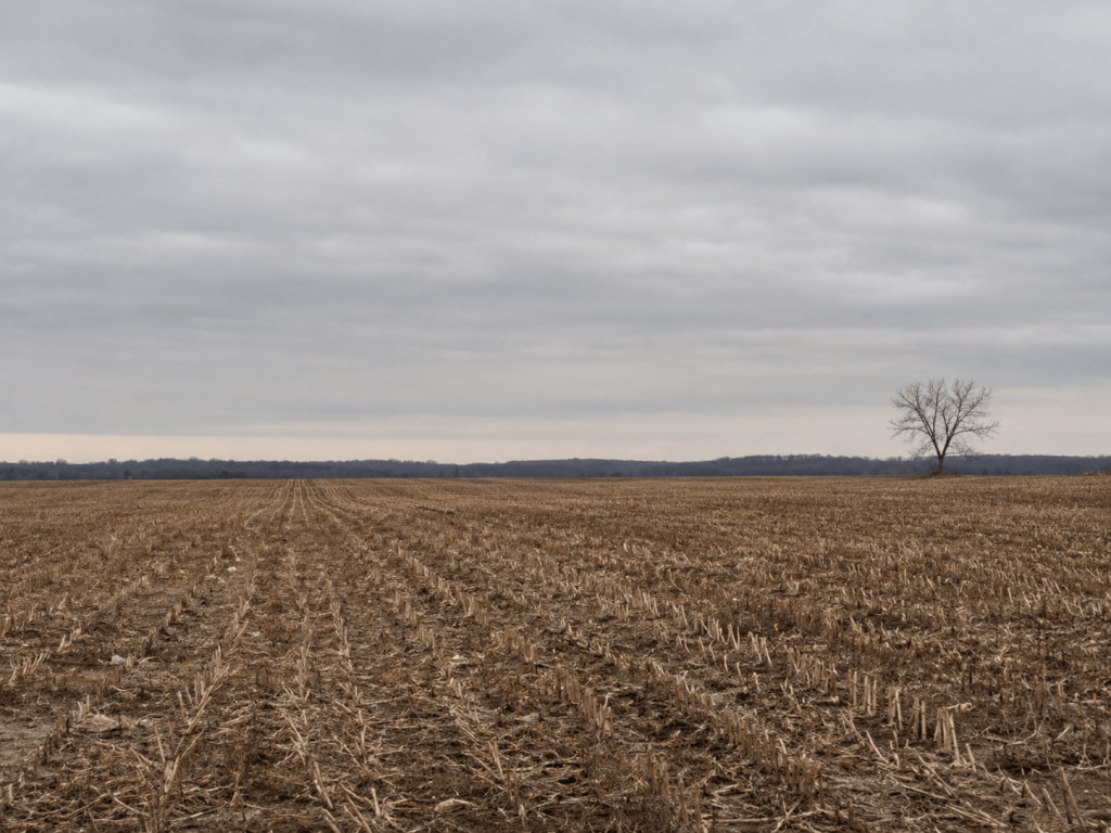 A bare field between harvest and planting under a low winter sky
