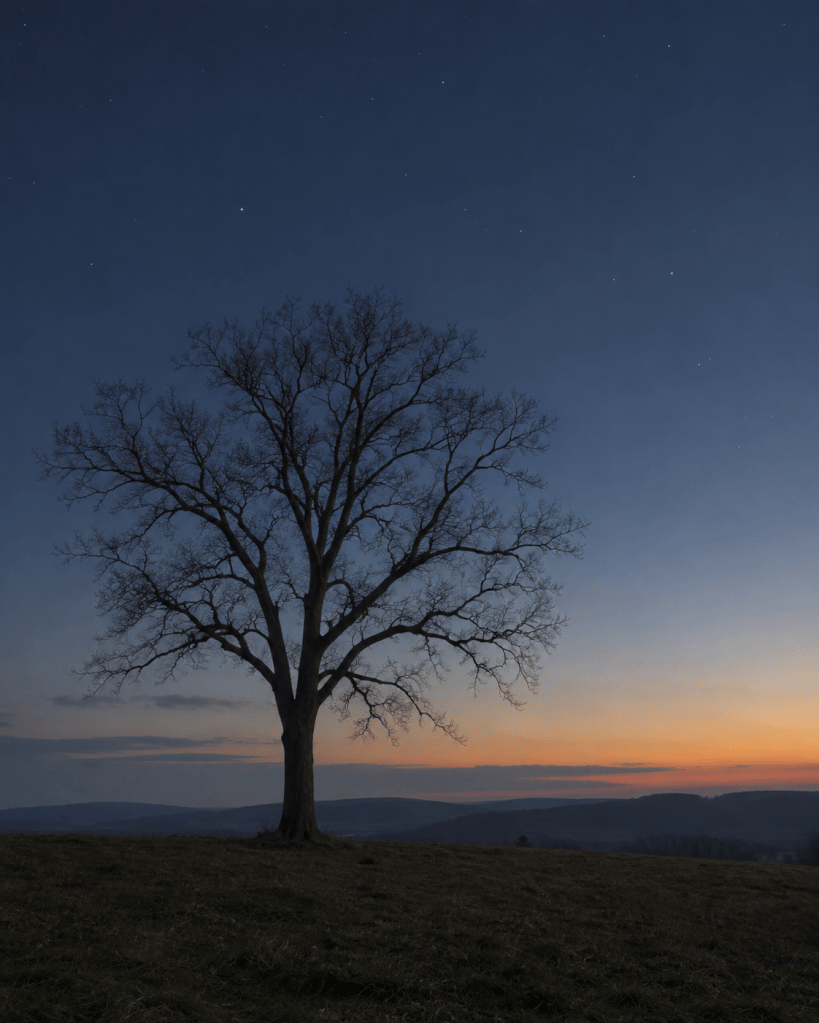 A bare tree at dusk with the first light of the next morning implied on the horizon